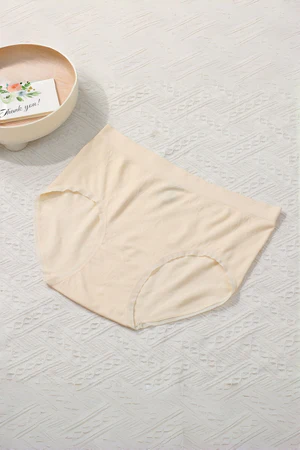 3 Pack Plus Size Soft Seamless Modal Brief | Second-Skin
